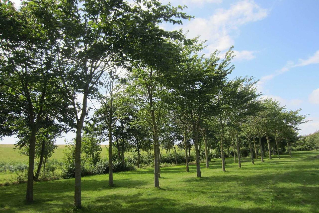 Ferienwohnung Meinfriko Friedrichskoog-Spitz Buitenkant foto